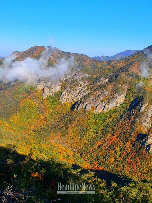 [사진=이경구]