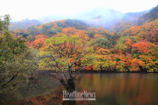 [사진=이경구]